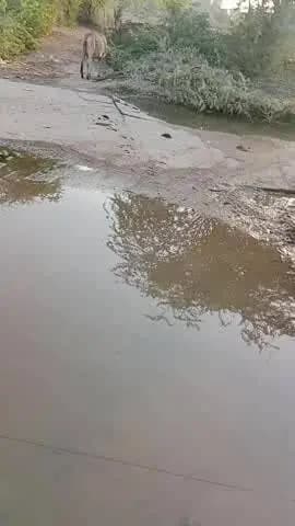 स्मार्ट इंडिया में भी ये हाल गांवों का 🤔🤔