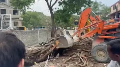 देवास नगर: पुराने कलेक्टर कार्यालय परिसर में गिरा था पेड़, ग्रीन आर्मी के ज्ञापन के बाद वापस खड़ा किया गया
