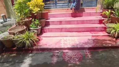 పెద్దపల్లి: భూంనగర్ కాలనీలో ఓ ఇంట్లోకి చొరబడిన త్రాచుపాము