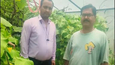 कांडा: कमस्यारघाटी में सब्जी उत्पादन की अपार संभावनाएं, उद्यान अधिकारी कमल पंत ने युवाओं से आगे आने की अपील की
