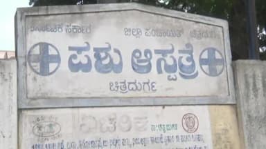 ಚಿತ್ರದುರ್ಗ: ಜೂನ್ 29 ಮತ್ತು 30ರಂದು ಚಿತ್ರದುರ್ಗದ ಪಶು ಇಲಾಖೆ ಕಚೇರಿಯಲ್ಲಿ ಕುರಿ ಮತ್ತು ಮೇಕೆ ಸಾಕಾಣಿಕೆ ತರಬೇತಿ