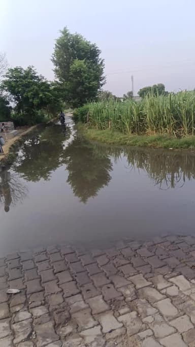 नंगल से कुड़ी जाने वाले रास्ते पर जानवी जैन इंटर कॉलेज के सामने भर पानी आने-जाने में हुई समस्या