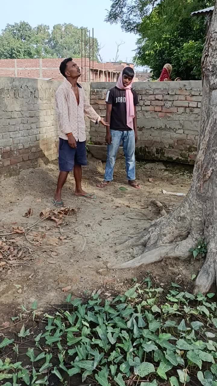 #जामुन #तोड़ा तो #मालिक ने पीटा #comedy #funny #trending #viral #funnymoment #funnyreel #memes #fun #entertainment