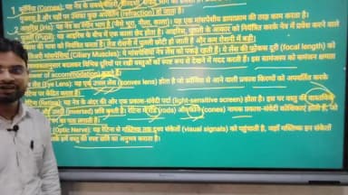 What is optic nerves | दृष्टि तांत्रिक क्या है यह कैसे काम करता है
#reelsvideoシ #shortsbyrahulsir #reelsviralシ #viralre