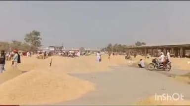 बारां: बारां शहर की कृषि उपज मंडी में गुरुवार को गेहूं 2341 से 2724 और लहसुन 6000 से 26000 रुपये प्रति क्विंटल बिका
