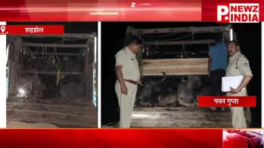 मध्य प्रदेश शहडोल जिले/थाना गोहपारू पुलिस द्वारा अवैध पशु परिवहन पर प्रभावी कार्यवाही, 34 मवेशी एवं ट्रक जप्त --
दिनांक