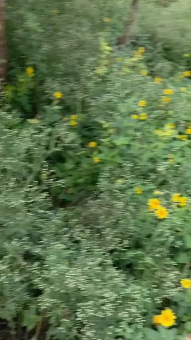 भिवाड़ी के तिजारा क्षेत्र में शाहाबाद पलाडिया के पास रास्ते को विवाद को लेकर चली गोली
विवाद म चला गाला