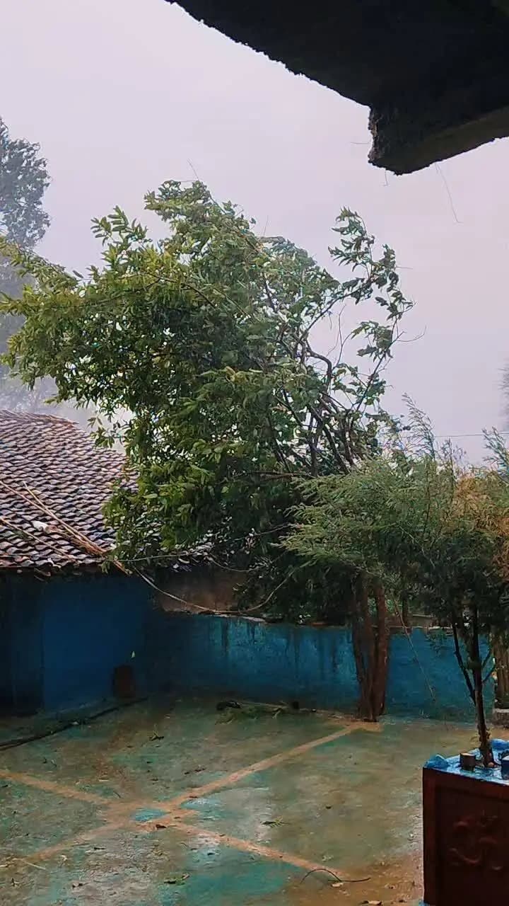 मध्य प्रदेश के पन्ना जिले के ग्राम बरबसपुरा में मूसला धार हुई बारिश तेज आंधी के साथ। {ग्राम बरबसपुरा} {PREETAM}