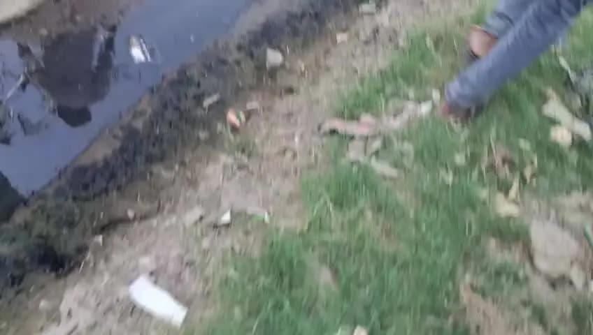 बिधूना, ताजिया में सभी लोग के साथ नगर के पूर्व नगर पंचायत अध्यक्ष भी शामिल हुए