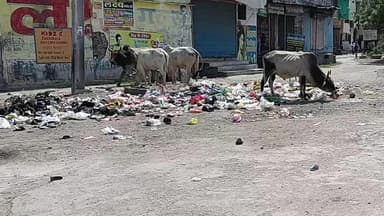बूंदी: लंका गेट गर्ल्स कॉलेज के बाहर लगे कचरे के ढेर से क्षेत्र वासी और आमजन परेशान