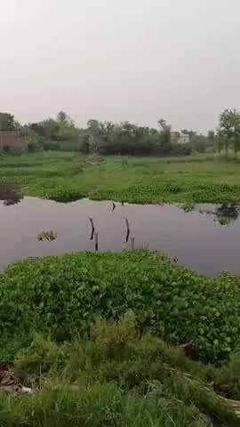 मुझे मुकटिया
मुझे मोहब्बतें
Mdsddam