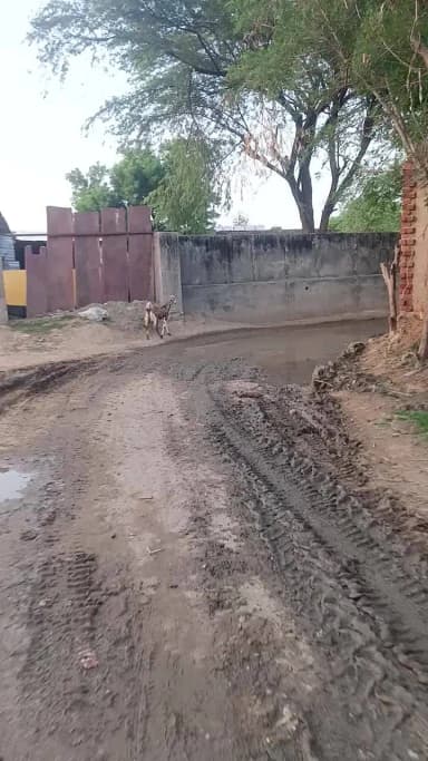 ये क्या हालत हो रखी है गांव की सड़को का