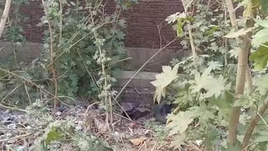 कानपुर: दादा नगर चौराहे के पास नाले के बगल में मिला युवक का शव, पुलिस जांच में जुटी