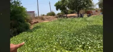कन्हवार में पारिवारिक विवाद: परिवार ने लगाए 10 साल से उत्पीड़न के आरोप | Pipariya में धमकी देने का भी दावा” #kanhwar