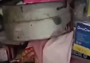 बड़गांव: उदयपुर में डकैतों से भिड़े परिवार, युवक पर सरिए से किया गया हमला