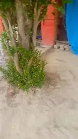 paani ki killat jal bibhag ki pipe tooti hai use thik karaye logo ko pani mile