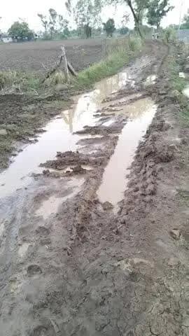 ग्राम अंबाराम चक कॉलोनी पंचायत जिला गुना मध्य प्रदेश यह गांव के सड़क की हालत देखिए हो वीडियो
