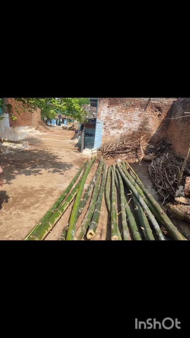 सरद तिवारी देवराकला के द्वारा आये दिन सुने खेत पर लगे हरे बांस कि गिरोह बनाकर चोरी करके विक्रय किया जुर्म कुबूल किये