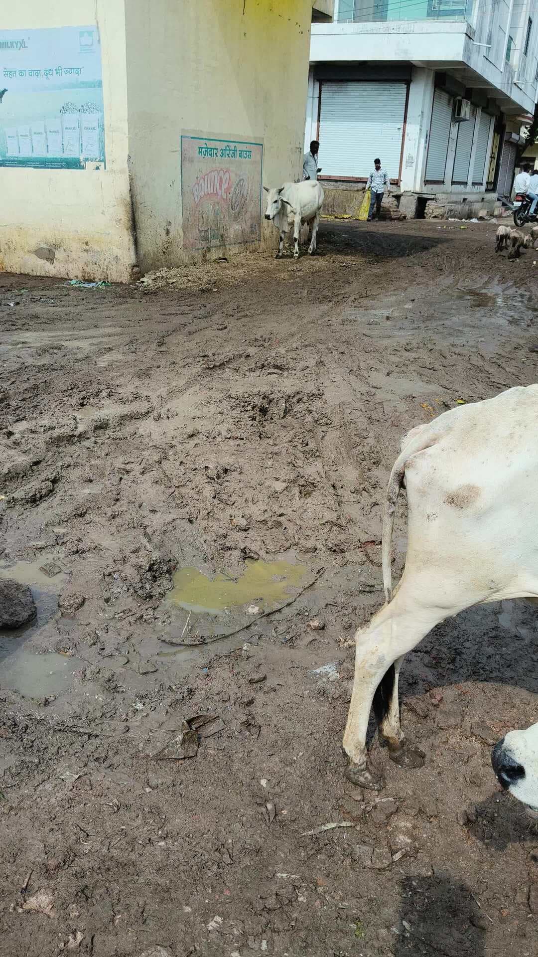 jhalawad jila aklera Mandi Jay Jawan Jay Kisan