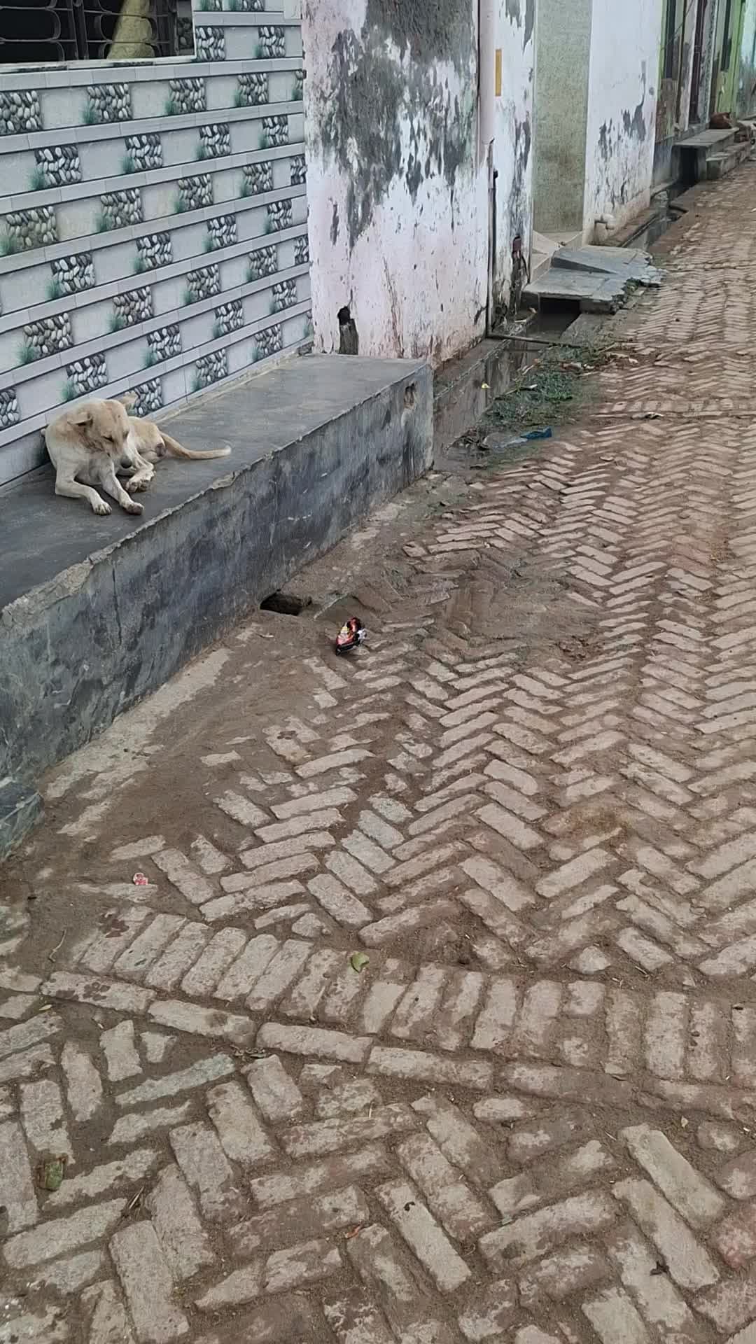 गाँव :-khwajpur meerpur post mirjapur
location :- shiv mandir के पास New पानी की टंकी के पास की Nali टूटी हुई h