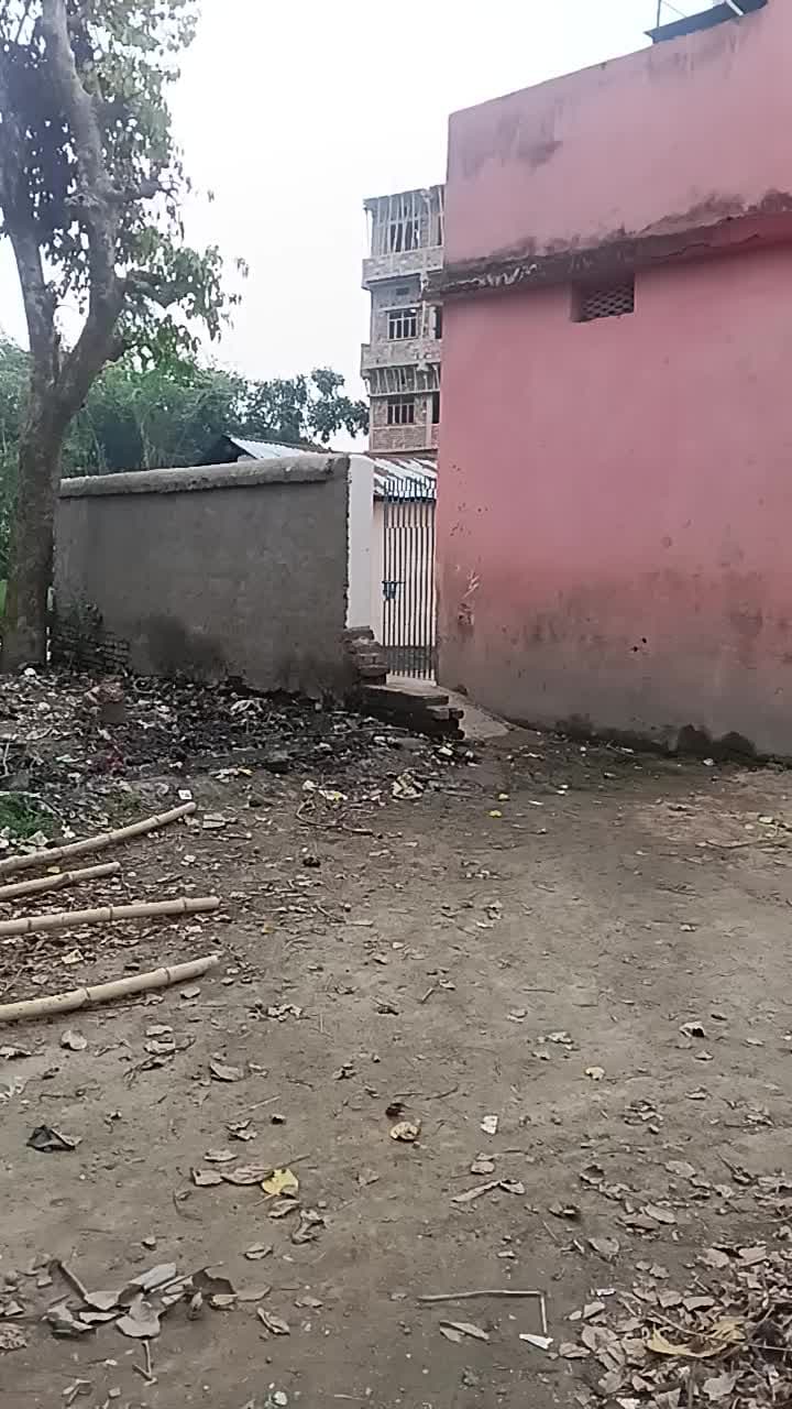 मध्य विद्यालय कारगिल निशा टोला औलियाबाद बिहपुर भागलपुर