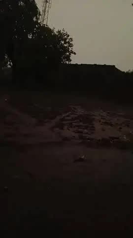 बहुत दिनों के बाद ग्राम पंचायत मांडन भारी बारिश हुई