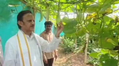 बसामन मामा गौवंश वन्य विहार में प्राकृतिक खेती का एक बेहतरीन और आदर्श मॉडल विकसित किया गया है। यहाँ कम जगह पर मल्टी-लेयर खेती की जा रही है, इस पूरी खेती में केमिकल फर्टिलाइजर्स का उपयोग बिल्कुल शून्य है। प्राकृतिक खेती से न केवल फसलों का उत्पादन बेहतर होता है और आमदनी बढ़ती है : उप मुख्यमंत्री श्री Rajendra Shukla
CM Madhya Pradesh Dr Mohan Yadav Office Of Rajendra Shukla Department of Agriculture, Madhya Pradesh
#प्राकृतिक_खेती #JansamparkMP #Rewa #रीवा