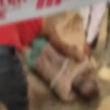 मोहनगढ़: खास में आपसी दुश्मनी के चलते एक की हत्या और कई लोग घायल मोहनगढ़ थाने अंतर्गत कंचनपुर की घटना मौके पर पहुंची पुलिस आगेकी