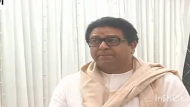 मुंबई: राज ठाकरे यांनी सध्याच्या राजकारणाचे सत्य सांगितले आहे. हा सर्व देहविक्रीचाच प्रकार आहे. राऊत