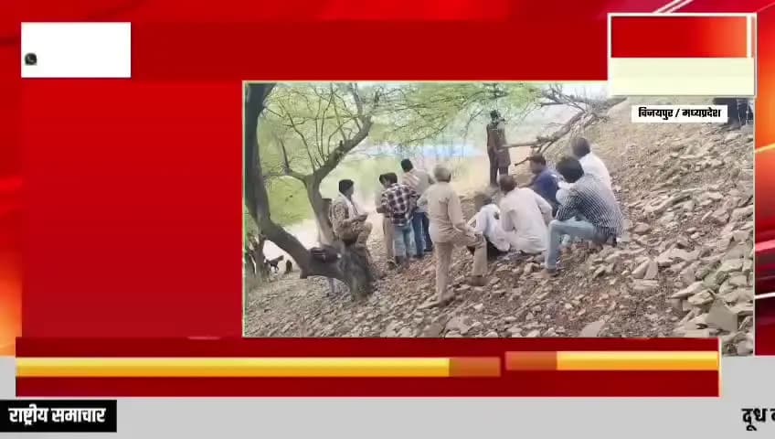 विजयपुर सिद्ध बाबा मंदिर के पास में लड़का लड़की मिले फांसी खा कर पुलिस थाना विजयपुर