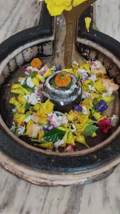 हनुमान प्रेम मंदिर,स्टेशन चौक मधुबनी।
जन्मकुंडली बनवाने हेतु 9576281913