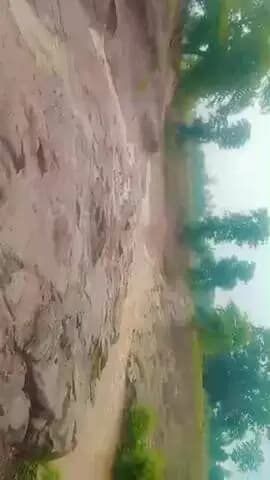 lalpur dhemrkheda katni
@@@
