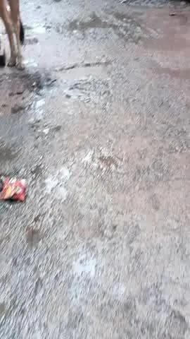 ward n 8 वार्ड नंबर 8 हनुमानगंज मोहल्ला