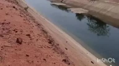 चीनोर: रिकॉर्ड में बंद हरसी डैम के गेट हकीकत में चोरी छुपे धान की फसल को दे रहे पानी