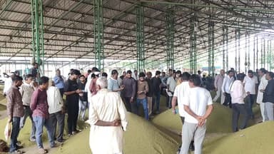 गाडरवारा: गाडरवारा कृषि अनाज मंडी में किसान देखे जा रहा है परेशान कम दाम लगाए जा रहे हैं मूंग पर।