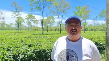 জলপাইগুড়ি: PMCSPY তে ক্ষুদ্র চা চাষিরাও উপকৃত হবে বললেন বিজয় গোপাল চক্রবর্তী,সভাপতি, ক্ষুদ্র চা চাষীদের কেন্দ্রীয় সংগঠন