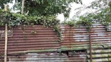 জলপাইগুড়ি: জমি জট কাটতেই সীমান্তে কাঁটাতারের কাজ শুরু, স্বস্তিতে রাজগঞ্জের মদনের বাড়ির বাসিন্দারা