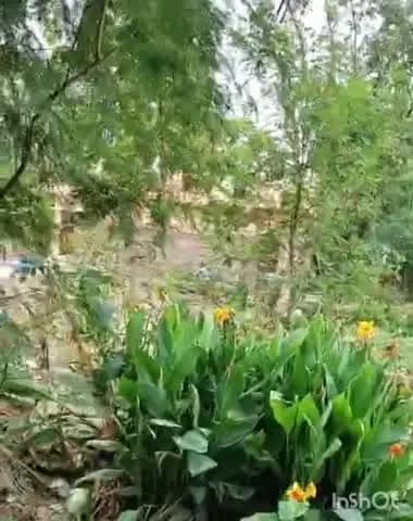 अजीतमल: ग्राम ककरैया में महिला को घसीटने का वीडियो सोशल मीडिया पर वायरल, पुलिस जांच में जुटी