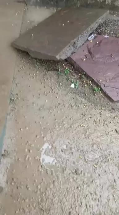 ग्राम बेरछ गोदाम में पानी भर जाने के कारण अधिक नुकसान। बलकिशुन पांचाल खाली करते हुए और कोई कर्मचारी मौजूद नहीं है।