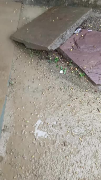 ग्राम बेरछ गोदाम में पानी भर जाने के कारण अधिक नुकसान। बलकिशुन पांचाल खाली करते हुए और कोई कर्मचारी मौजूद नहीं है।