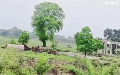 नागदा: अंतलवासा के श्मशान घाट की बदहाल स्थिति, ग्रामीणों ने उठाई मूलभूत सुविधाओं की मांग