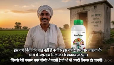 सोयाबीन की फसल को खरपतवार नाशक से लगने वाले झट से बचाए। अग्रसत्व प्लस #सोयाबीन #खरपतवार