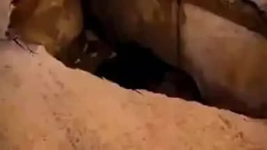 जयपुर: जयपुर में रात रविवार को हुई 2 इंच बारिश ने सड़कों पर कोहराम मचाया, कई जगह 10 फीट से ज्यादा गहरे खड्डे बने मुसीबत