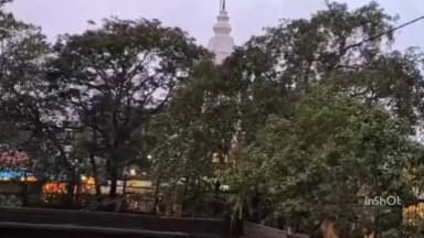हातोद: इंदौर बिजासन माता मंदिर स्थित तालाब में सैकड़ो मछलियो कीदूषित पानी की वजह से हुई मौत आसपास गंदगी और बदबू फैली