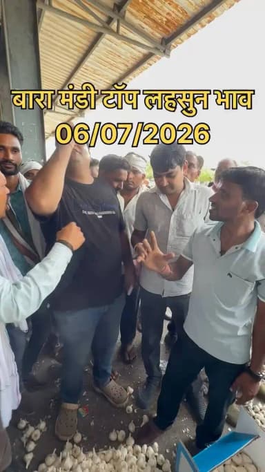 6 July 2026 बारा मंडी लहसुन भाव# आज के मंडी लहसुन भाव#ताजा मंडी लहसुन भाव #Today garlice ret#nkrk