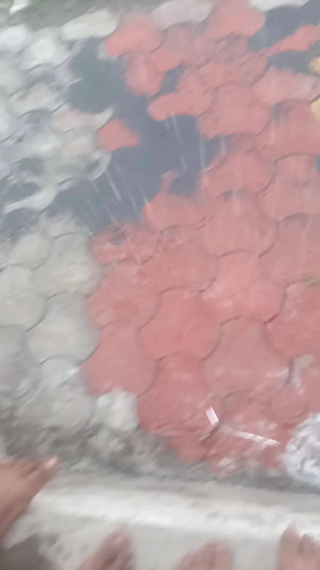 kuvapur Gyan Bahu tej Pani 06/07/2026