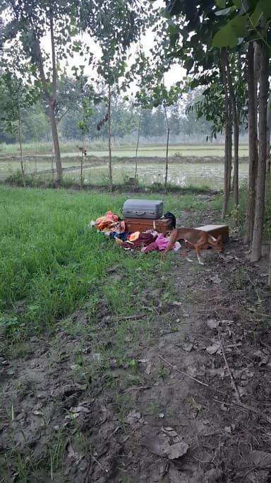 masihabad me chori ho gayi