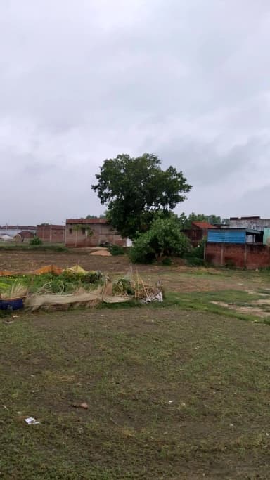 hamare gaon ka scene dekhiye kitna pyara drishy h