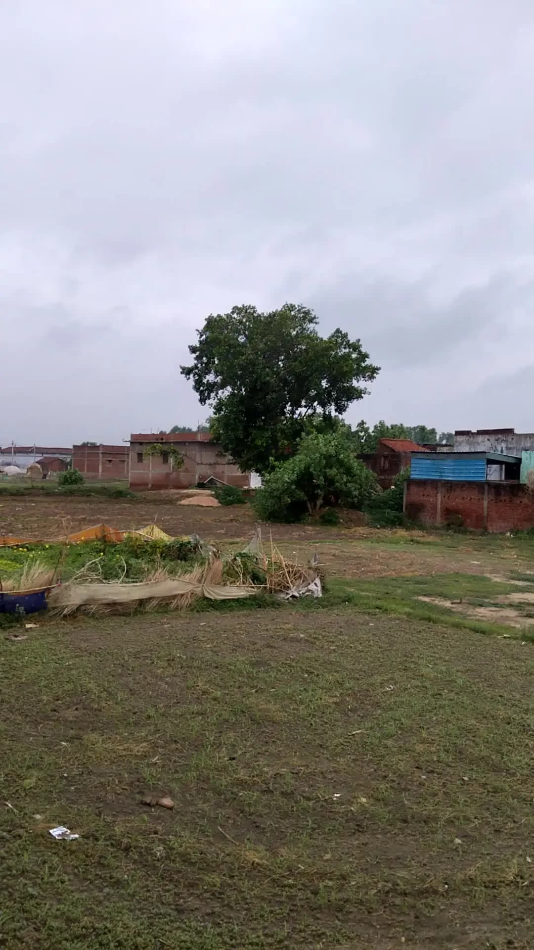 hamare gaon ka scene dekhiye kitna pyara drishy h