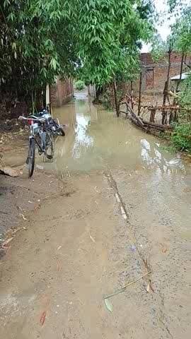 hamare gaon mein Dekhi kis tarike se pahli bar gaya hai